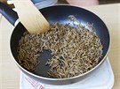 Lidé v zoo ochutnávali pokrmy pipravené z hmyzu