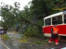 Polámaný strom blokoval tramvajovou dopravu mezi zastávkami Chotkovy sady a