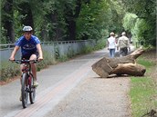 Vyvrácené stromy uzavřely cyklostezky.