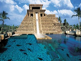 Tobogan z vrcholu repliky mayské pyramidy se jmenuje Leap of Faith (Skok víry)....
