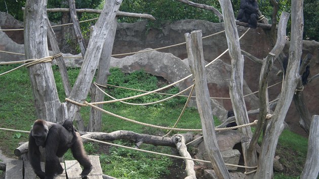 Kamba se o mal�ho Nurua star� s dojemnou p���. A� teti�ka, dokonce ho i koj�, ob�as se k n� st�le je�t� p�ijde nap�t i Kiburi.