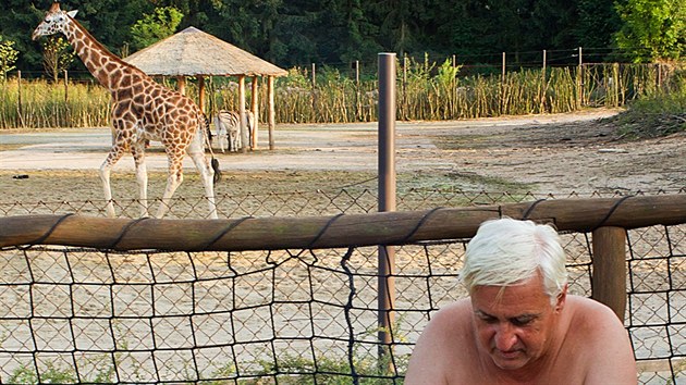 Safarikemp v dvorsk zoo