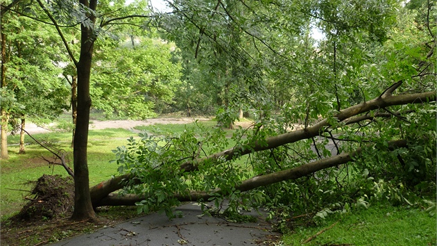 Vyvrácené stromy uzavely cyklostezky.