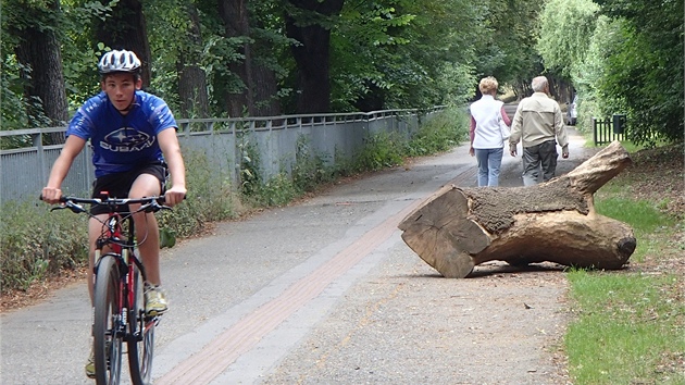 Vyvrácené stromy uzavely cyklostezky.