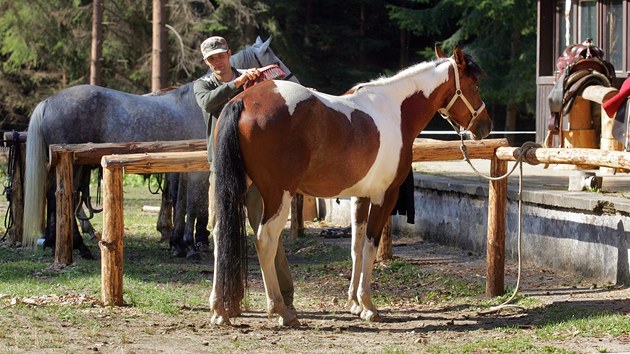 V tboe u eky Ohe ve Svatoskch skalch si zjemci mohou zajezdit i na pravm indinskm koni plemene appaloosa.