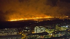 Rezervace o rozloze více ne 300 hektar se nalézá na bezích Rio de la Plata...