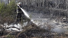 Hasi� likviduje �ty�icetihektarový po�ár lesa a pole u Fulneku na Novoji�ínsku.