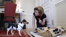 Za ko�ík, pokrývku, misky, postroj, vodítko a náhubek si majitelé ps� p�iplatí...