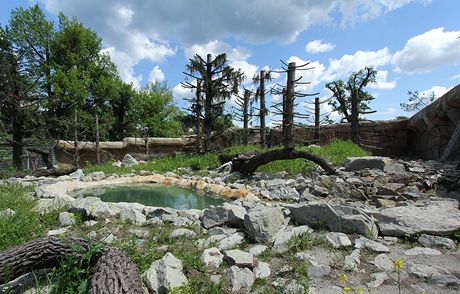 Medvdi dostali v zoologické zahrad v Hluboké nad Vltavou nový výbh.