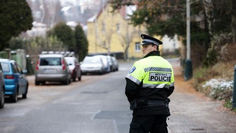 Postelmov chce omezit drobnou kriminalitu. Bude k tomu vyuívat jednoho stráníka zábeské mstské policie. (Ilustraní snímek)