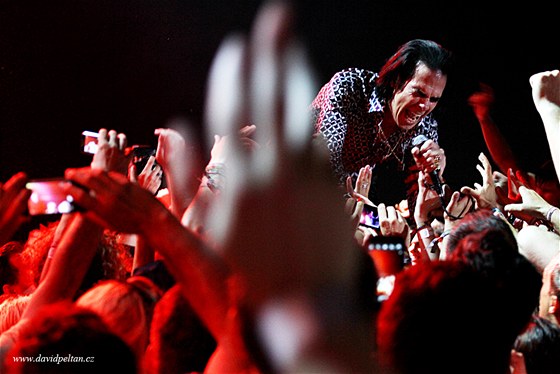 Sziget Festival 2013 (Nick Cave)