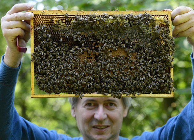 Včelař Petr Machač ukazuje plástev včelstva na akci o medu a o včelaření.