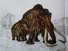 Nový mamut by ml mít vrnjí podobu.