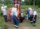Pivolaní hasii s pomocí kladkostroje krávu ze studny vytáhli. Jet pedtím