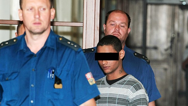 Sedmnáctiletý násilník dostal za své útky rok vzení, za míe ale jet