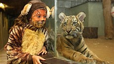 P�i Letní noci v zoo netradi�n� provád�li kapitáni, z náv�t�vník� se toti�...