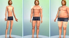 Homosexuální vztahy v The Sims 4 v Rusku povaují za kodlivé pro vývoj a zdraví dtí.