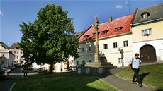 Podle p�edstavitel� m�sta se dá p�edpokládat, �e lípa bude �asem je�t� dvakrát
