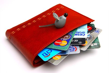 V 1. pololetí bylo podle Sdruení pro bankovní karty R vydáno 2,23 milionu kreditní karet. Ilustraní snímek