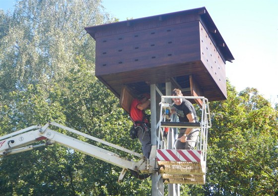 Stavba rorýsí budky v Jablonci.