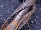18 A discarded piece of track cable. The cables weigh around 26lb (12kg) per...