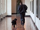 Barack Obama se svým psem v Bílém dom