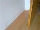 Vzlínání vlhkosti stny v novostavb bytu (pízemní byt). Náklady na opravy:...