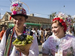 velkopavlovick vinobran