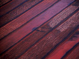 Navezené haldy vyteného bauxitu u hliníkového dolu Gove, který leí asi 650...