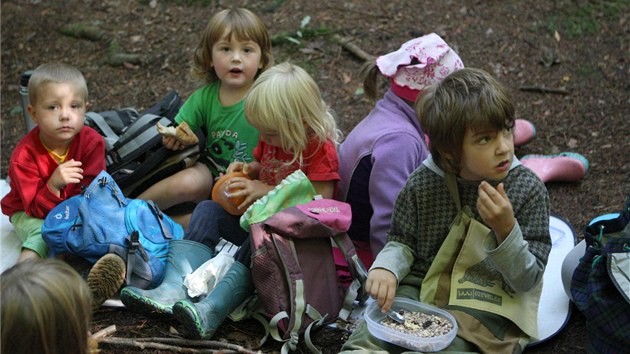 Alternativn vuku dt v pedkolnm vku vyhledv stle vce rodi. K waldorfskm a Montessori kolkm tak pibyly i ty lesn. Napklad v Loov u Olomouce.