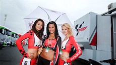 Grand Prix 2013 Brno