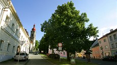 Lidé bojují s radnicí o be�ovskou lípu. Necht�jí, aby �el strom k zemi.