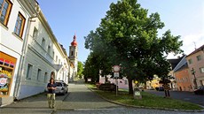 Lidé bojují s radnicí o beovskou lípu. Nechtjí, aby el strom k zemi.