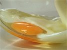 V misce smíchejte vajíko s mlékem a vylehejte do pny.