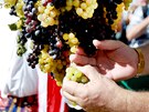 Pálavské vinobraní je pro Mikulov akcí roku.