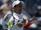Momentka ze semifinále US Open - Novak Djokovi