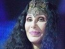 Zpvaka Cher pi vystoupení v New Yorku (erven 2013)