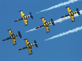 Baltic Bees Team z Lotyska na L 39 Albatros. (CIAF 2013)