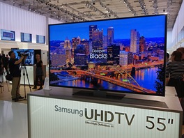 Samsung: U meních úhlopíek bude cena pijatelnjí, u 55" novinky by se...