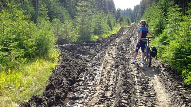 Rozježděná cesta v Národním parku Šumava v okolí Modravy.