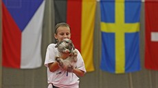 Mistrovství Evropy v králiím hopu v Havlíkov Brod.