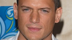 Wentworth Miller