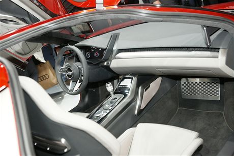 Audi nanuk quattro 