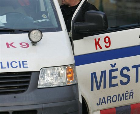Odsouzený stráník peel u na civilní pozici u mstské policie (ilustraní foto).
