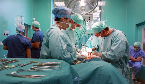 Transplantace ve Fakultní nemocnici Brno. ilustraní snímek