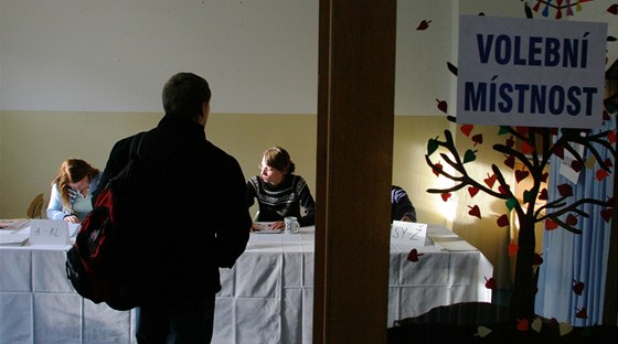Volii si mohou vybrat v mimoádných volbách mezi 24 subjekty. (Ilustraní snímek)