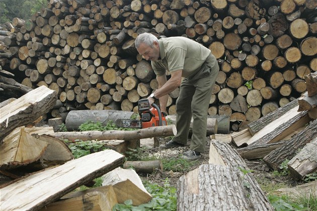 Lidé se zásobují dřevem na roky dopředu, cena stoupla až na dvojnásobek