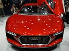 Audi nanuk quattro 