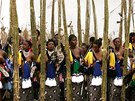 Svazijské dívky při rituálním tanci, při kterém si král vybírá budoucí