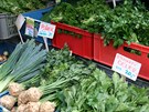 Pro Praany je asi nejzajímavjí komoditou farmáských trh erstvá zelenina....